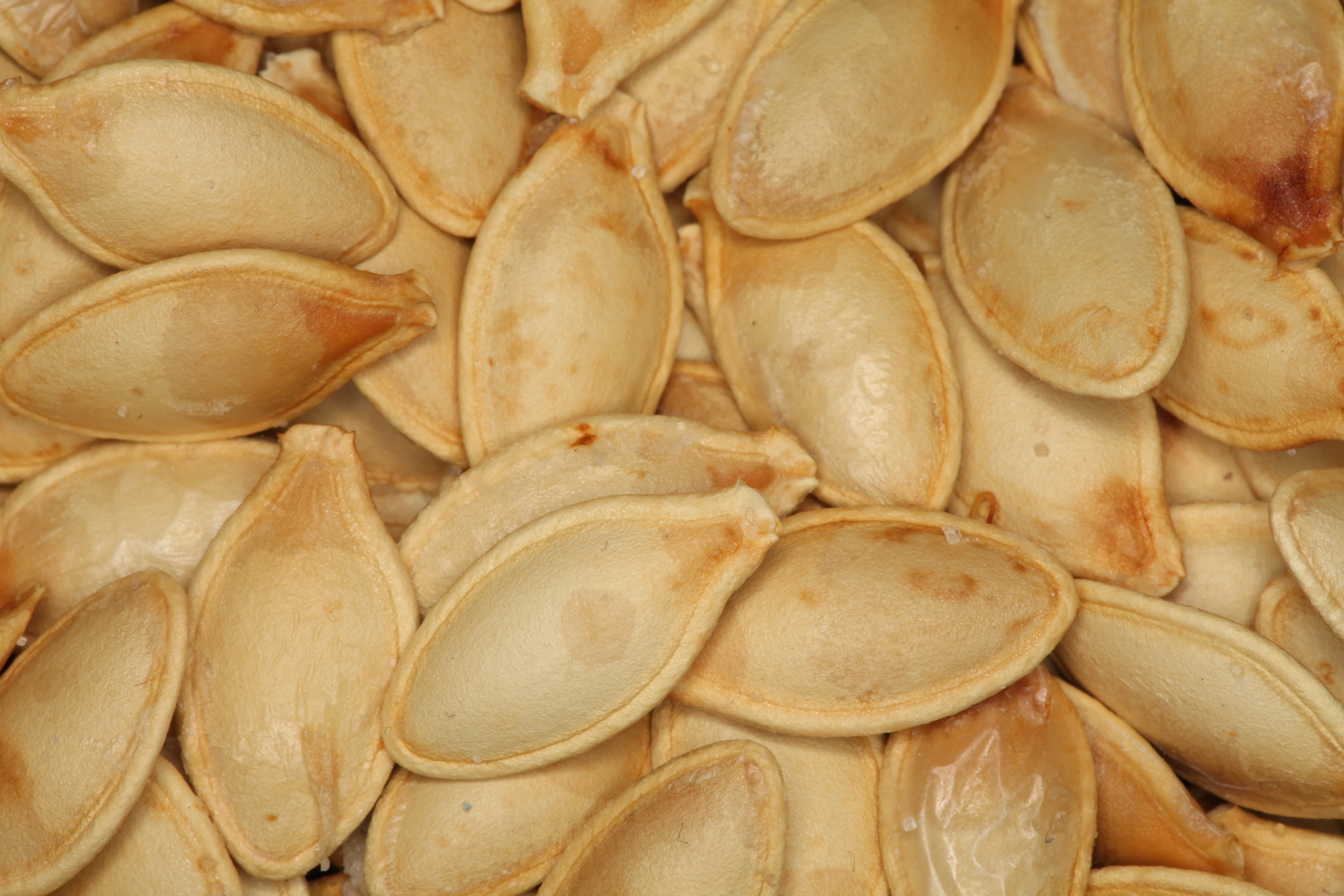 Raw AAA Pumpkin Seeds Pepitas